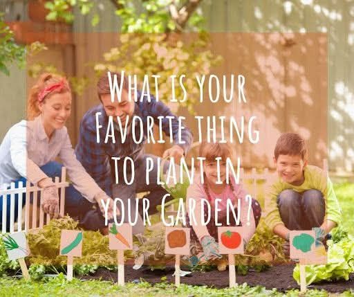 Tomato, zucchini, chickpeas and popcorn for me! How about you?